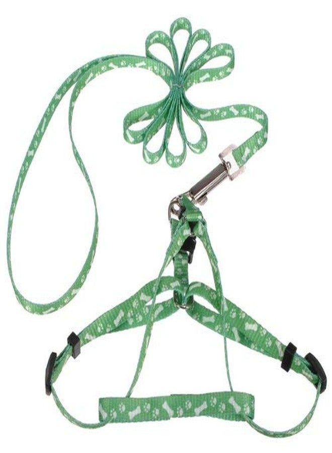 Nema NM Nema Pet Traction Rope Nylon Leash Harness Chest Collar Drawing Neck Lead Strap - Random Colour - Image 3
